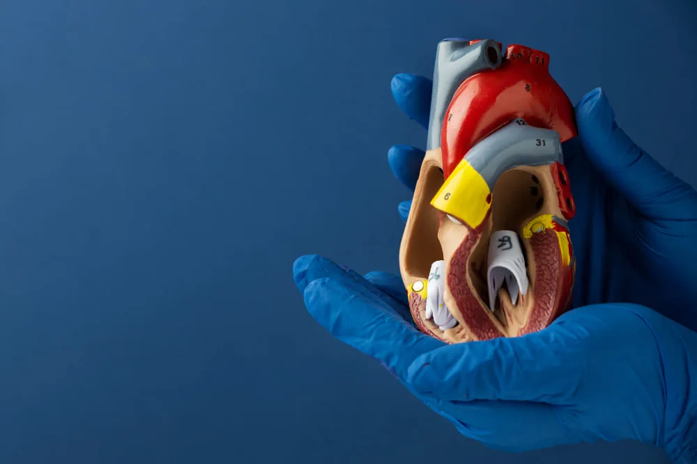 Seguimiento post angioplastia en Puebla con el Dr. Kevin Alberto Zurroza Luna